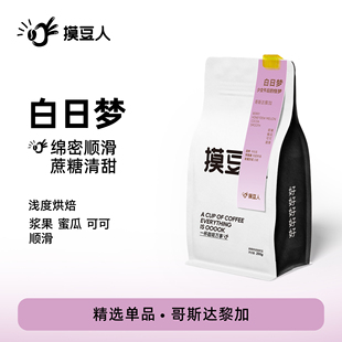 哥斯達黎加日曬精品手沖單品咖啡豆摸豆人新鮮烘焙200g 白日夢
