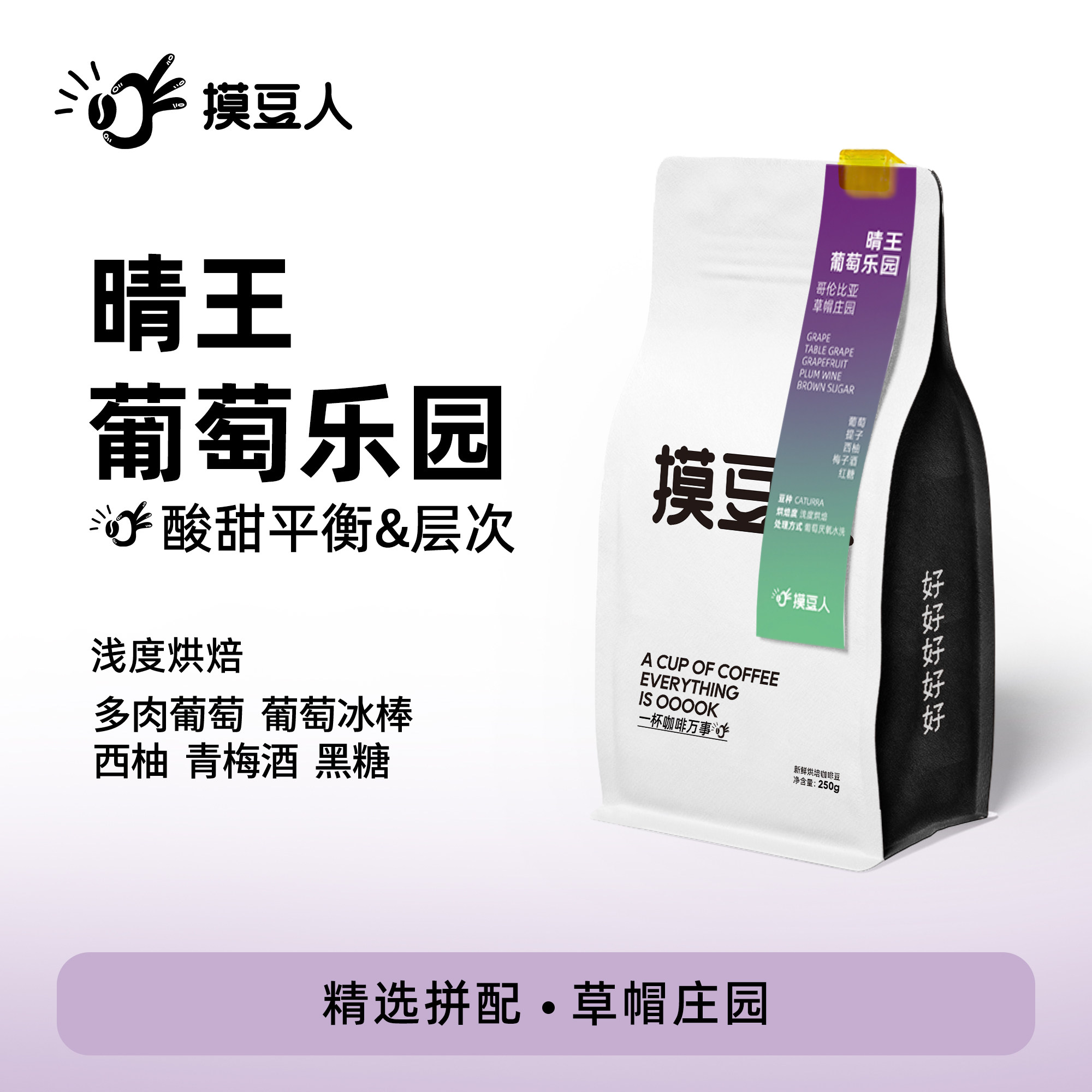 【晴王葡萄乐园 】手冲新鲜烘焙咖啡豆 摸豆人咖啡