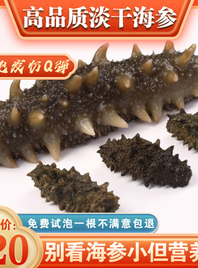 淡干海参干货50g野生海参大连野生辽刺参鲜活辽参海生孕妇旗舰店