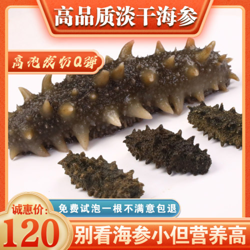 海参干货50g野生大连鲜活孕妇