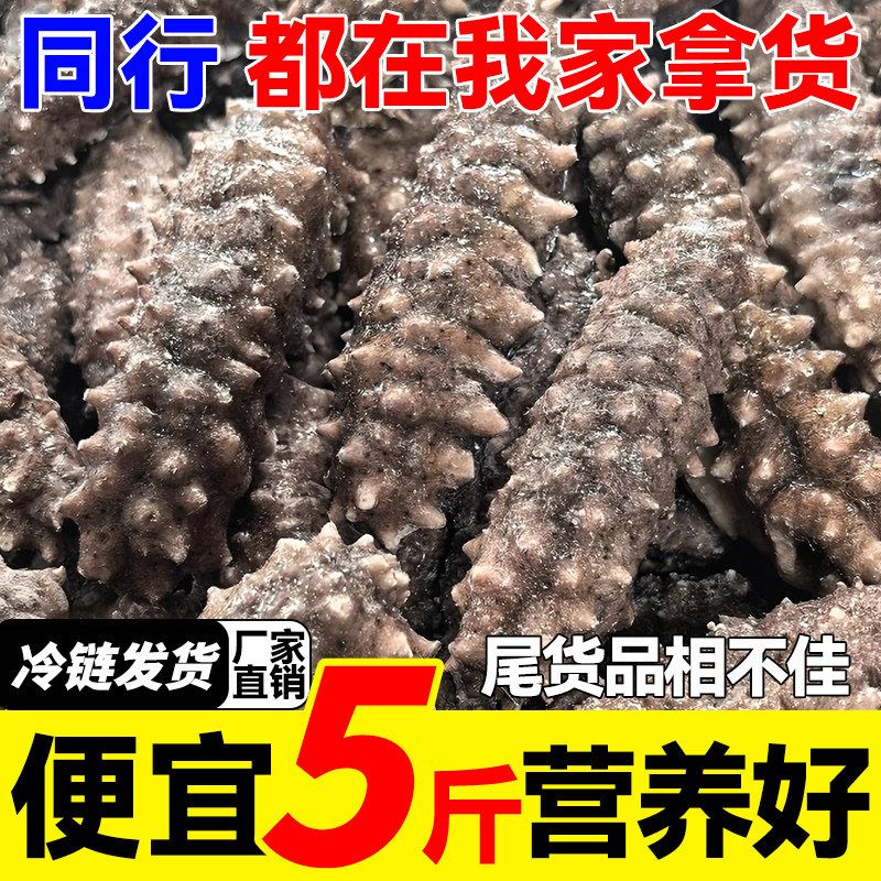 即食海参特价残参刺参鲜活参野参长岛海参非干货礼盒工厂,水产肉类/新鲜蔬果/熟食,海参,淘宝优惠券,粉丝福利购,淘宝优惠卷