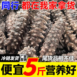 即食海参特价残参刺参鲜活参野参长岛海参非干货礼盒工厂