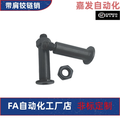 CLBRU 6 8 10 12-15 20 25 30 35 50带肩铰链销内六角螺帽固定型