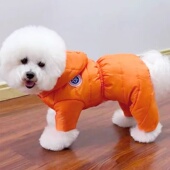 冬季 四脚狗狗衣服小型犬比熊泰迪保暖羽绒棉狗棉衣雪纳瑞博美棉服