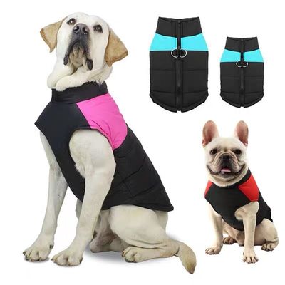 加厚炫当家狗涤纶衣服10