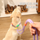 狗狗牵引绳宠物溜猫狗链子p绳p链小中大型犬防爆冲斜跨解放双手