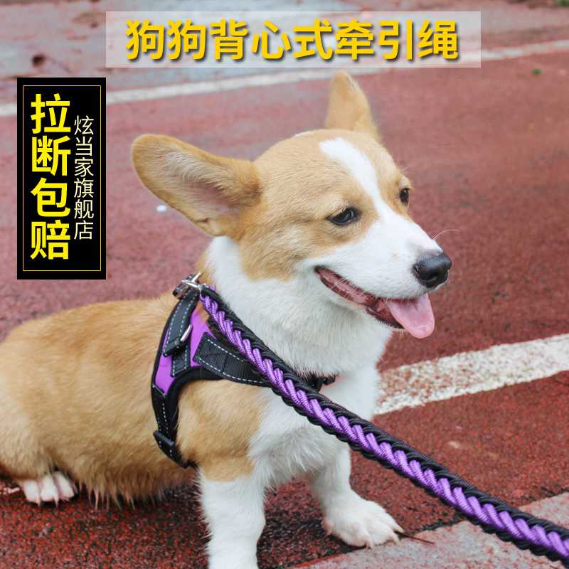 背心式狗狗牵引绳炫当家