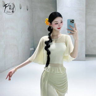 古典舞服装纱衣中国舞练功服短袖形体训练服网纱舞蹈上衣女款新款