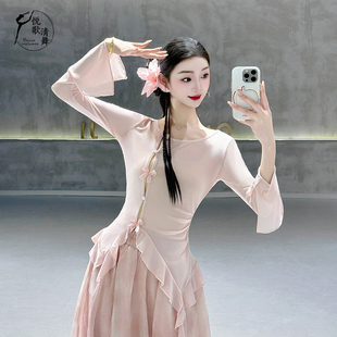 古典舞纱衣飘逸演出服表演长袖女网纱好看的舞蹈练功服中国舞上衣