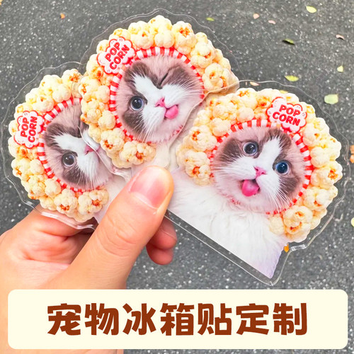 宠物冰箱贴定制萌宠形象可爱异形磁贴设计猫狗纪念磁吸贴来图定做