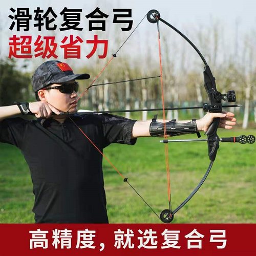 滑轮复合弓高精度易上手