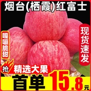 Shandong Yantai Red Fuji apple fruit 10 fresh crispy sweet seasonal fruit ugly fruit whole box catty rock candy heart