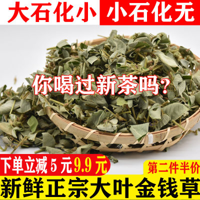 第二件半价野生新鲜大叶金钱草结石肾天然广金钱草排溶化石茶500g