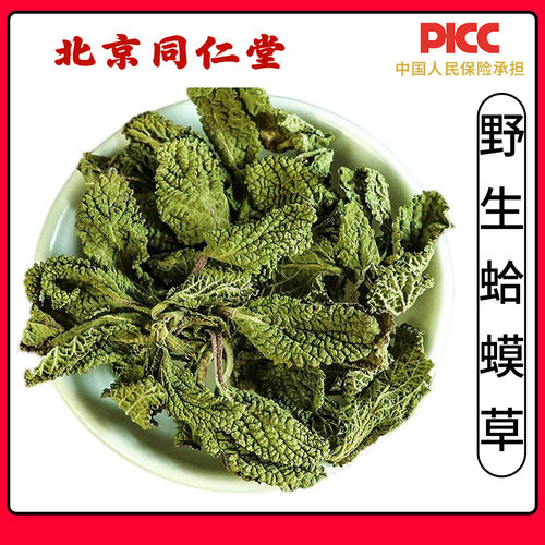 同仁堂野生蛤蟆草中药材500g