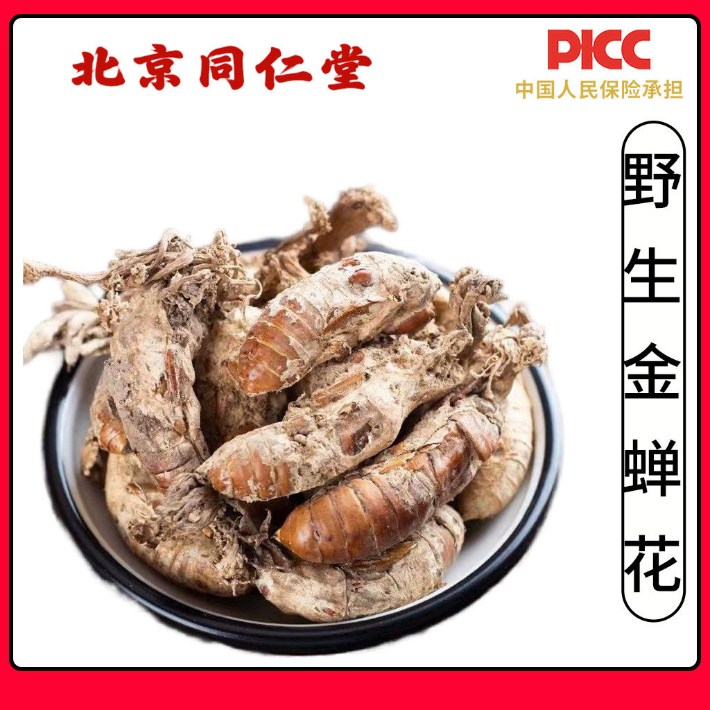 同仁堂野生金蝉花中药材500g新货精选大虫草知了花知了蝉花孢子粉