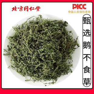 同仁堂鹅不食草中药材500g特级野生正品新鲜干货鹅不食草饿不食草