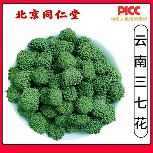 同仁堂野生云南三七花中药材500克干花田七干花四年材野生泡茶水