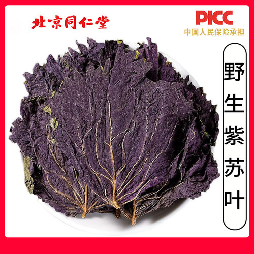 同仁堂野生紫苏叶500g新货