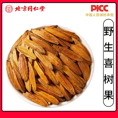 喜树果中药材正品水栗子