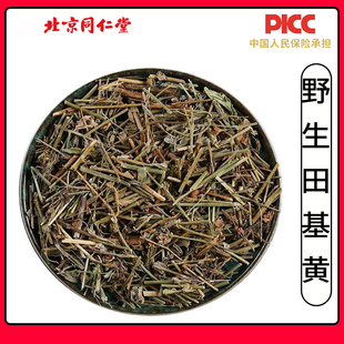 同仁堂野生田基黄中药材500g新鲜无硫地耳草野生田基王黄花草干货