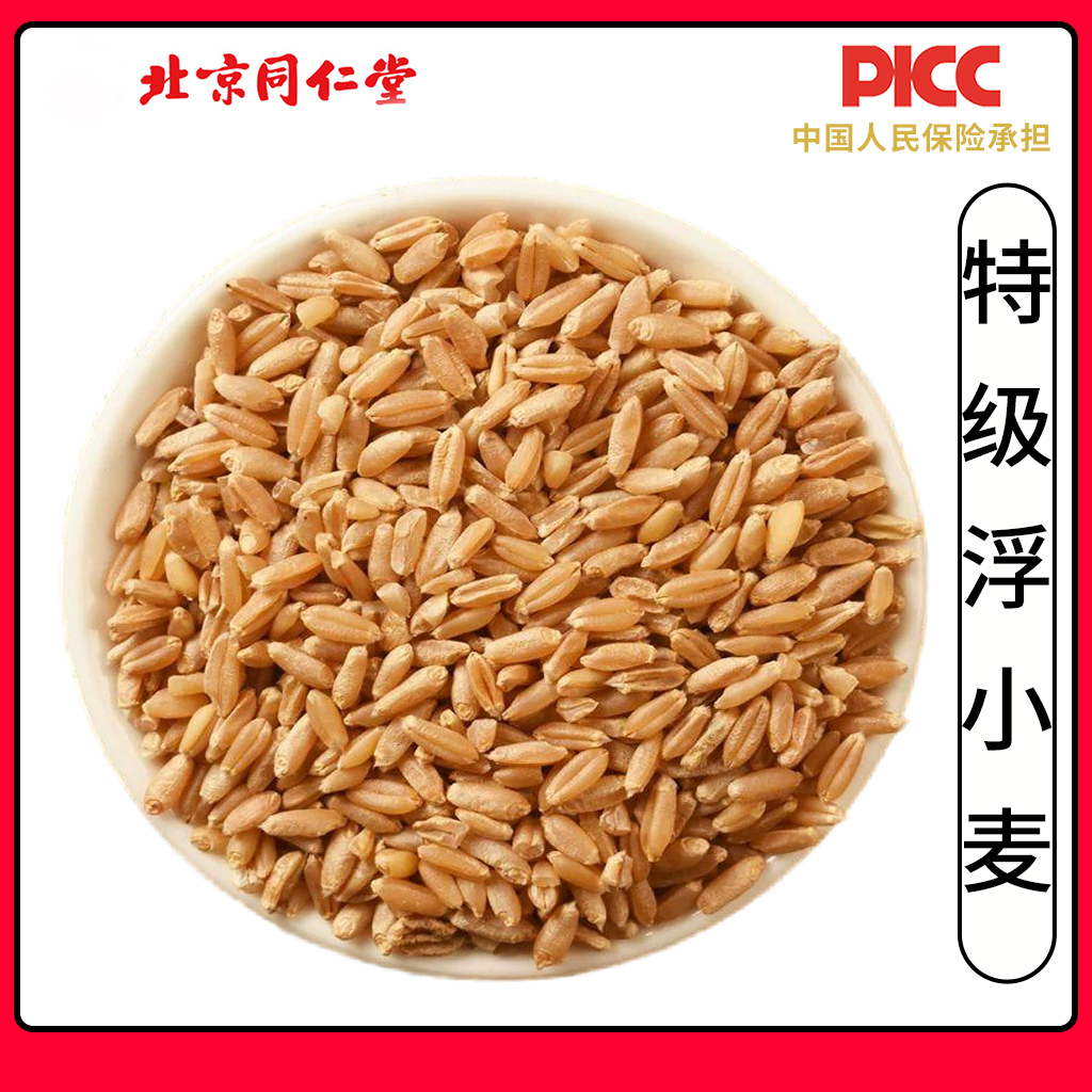 同仁堂浮小麦中药材500g克止汗茶浮水小麦茶新货干瘪小麦浮小麦