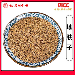 同仁堂野生地肤子中药材500g正品止痒药材地夫子地肤籽粉中草药材