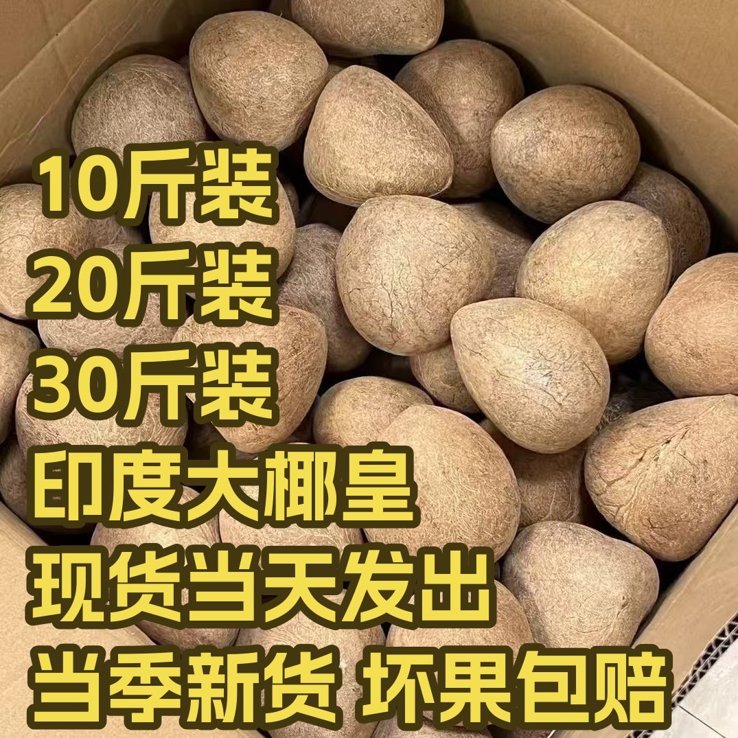 大椰皇现货餐饮10斤20斤30斤印度椰子皇干海椰王炖鸡材料椰青煲汤