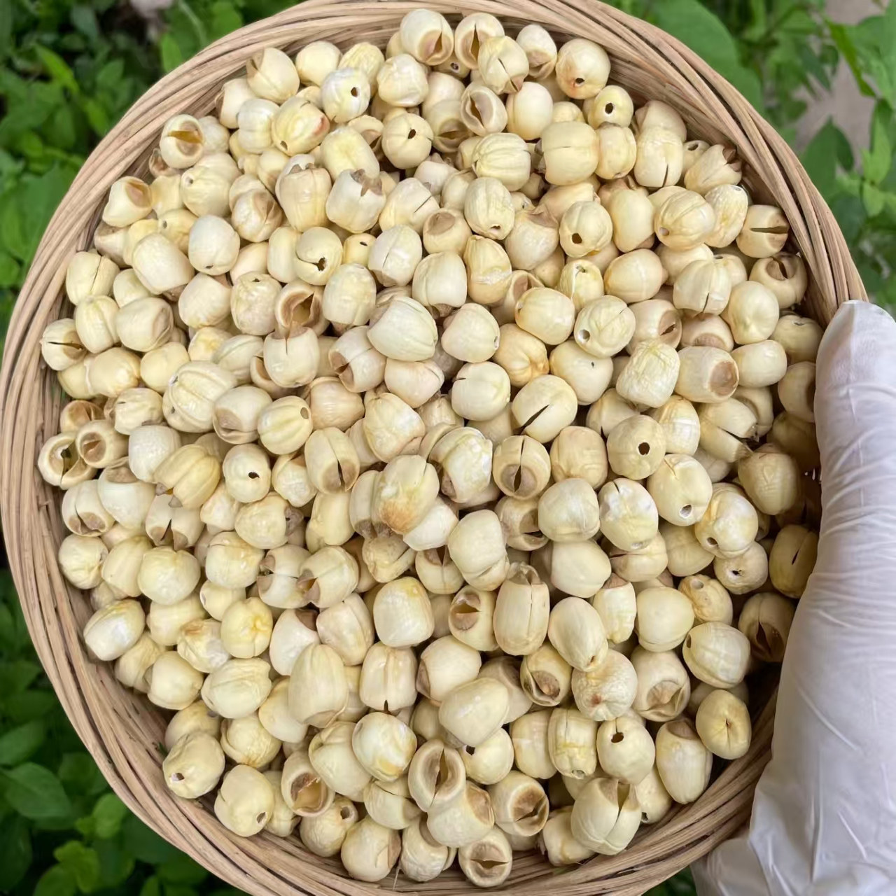 建宁莲子500g克去心莲子干货大号白莲子剥皮香糯江西通心白莲粉糯