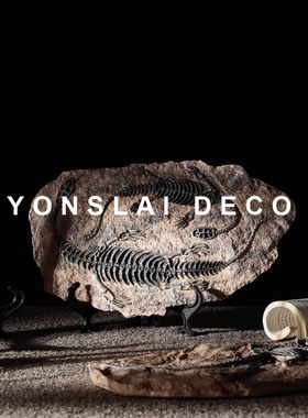 样板间博古架展示架电视柜