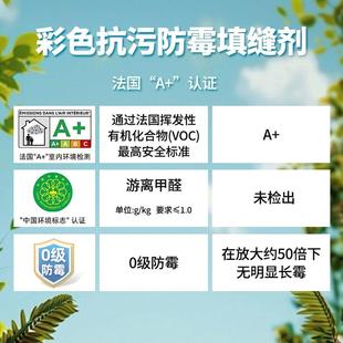 雷帝彩色抗污防霉水泥基填缝剂CG2WAS 卫生间瓷砖地砖抗菌勾缝剂