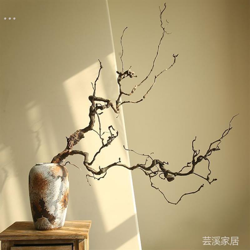 龙枣枝条天然干枝弯曲枯枝造景插花装饰客厅摆件禅意枯木枝干