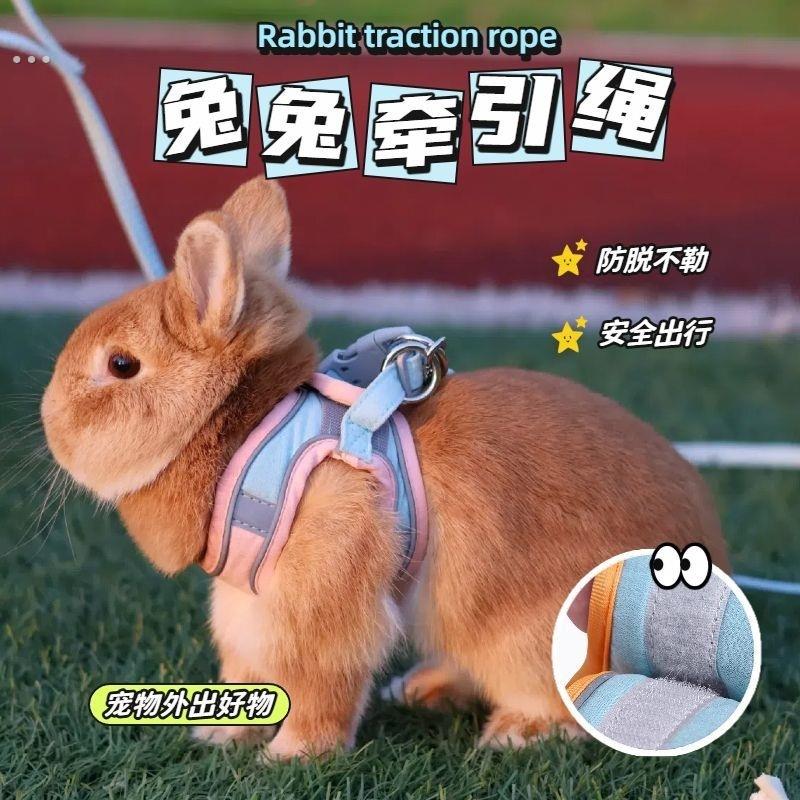猫咪牵引绳溜猫绳猫背带背心式胸背防挣脱猫咪专用兔子狗狗外出用