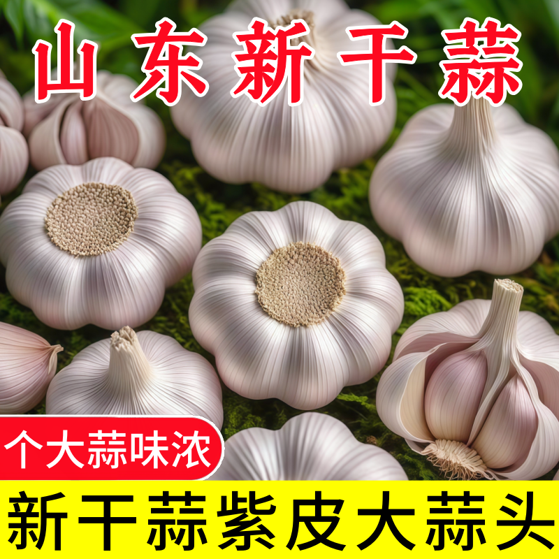 2025新晒山东新干蒜2-3-5斤大蒜头种子种籽批发新鲜蔬菜紫皮蒜,水产肉类/新鲜蔬果/熟食,大蒜,淘宝优惠券,粉丝福利购,淘宝优惠卷