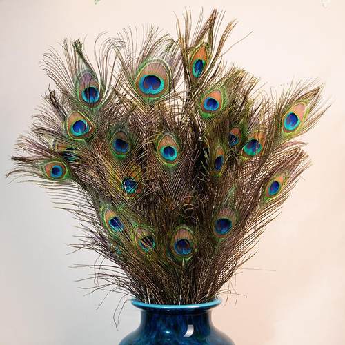 H015孔雀羽毛30支组合家用装饰工艺羽毛摆件工艺品