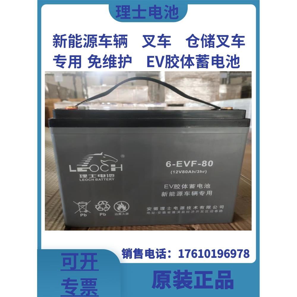 胶体蓄电池6-EVF-100 12V80AH100AH150AH动力电池 新能源车用