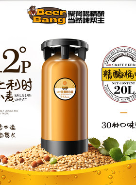 精酿啤酒桶装20升原浆鲜啤生啤扎啤酒吧打酒站酒馆饭店餐厅商用