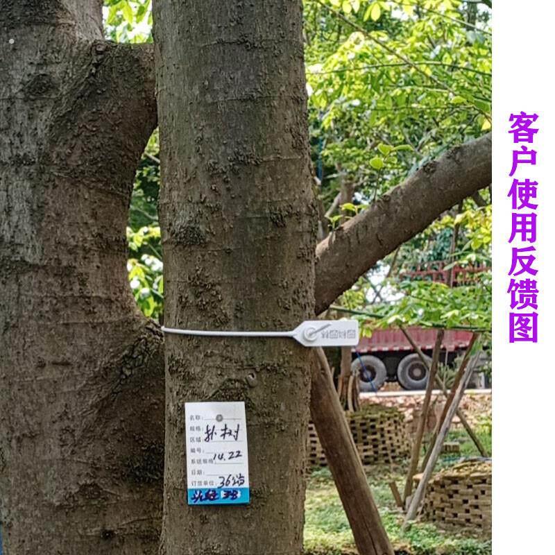 号树标签扣二维码扎带大树苗木园林记号锁防盗防拆一次性塑料封签