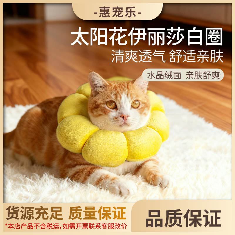 太阳花伊丽莎白圈宠物项