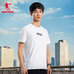 乔丹强风吹拂联名运动t恤男士2025夏季新款跑步舒适透气上衣男款