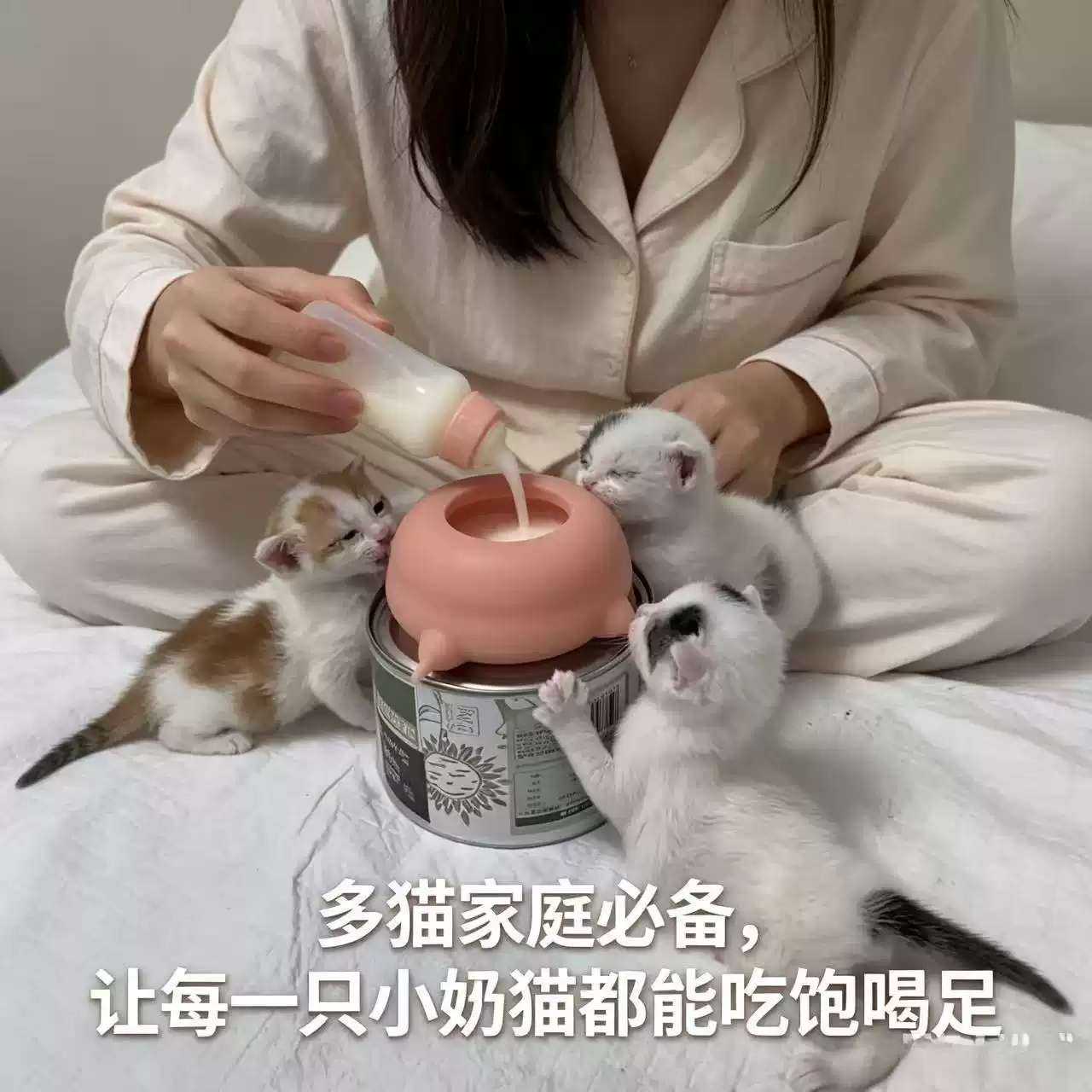 小猫哺乳奶猫幼猫奶瓶自助仿生