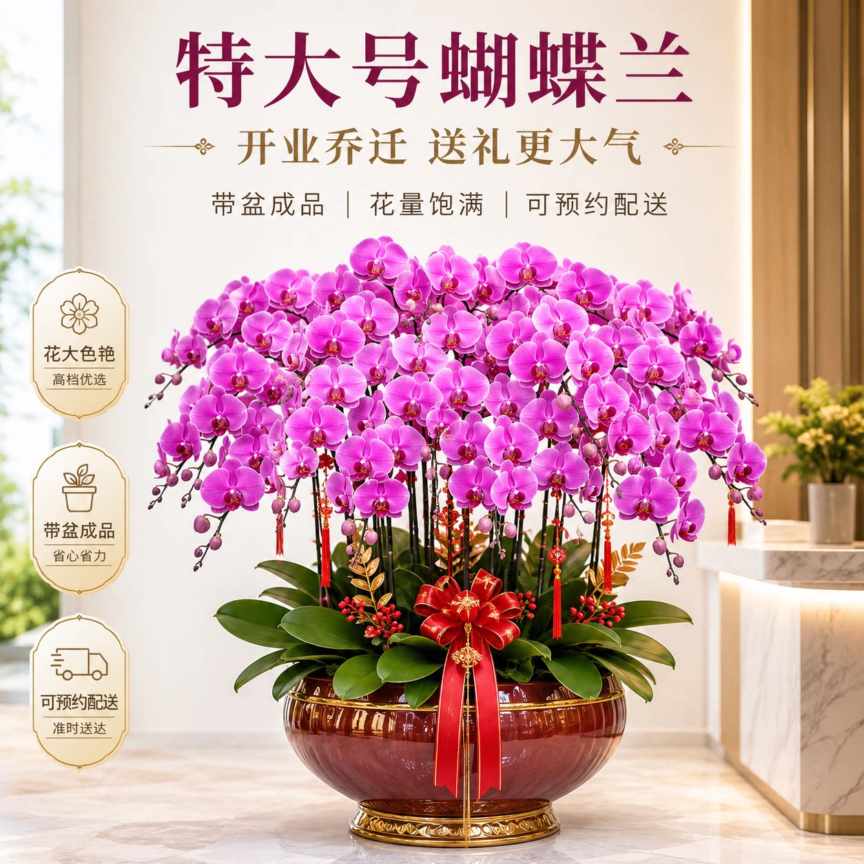 蝴蝶兰盆栽带花开业乔迁送礼