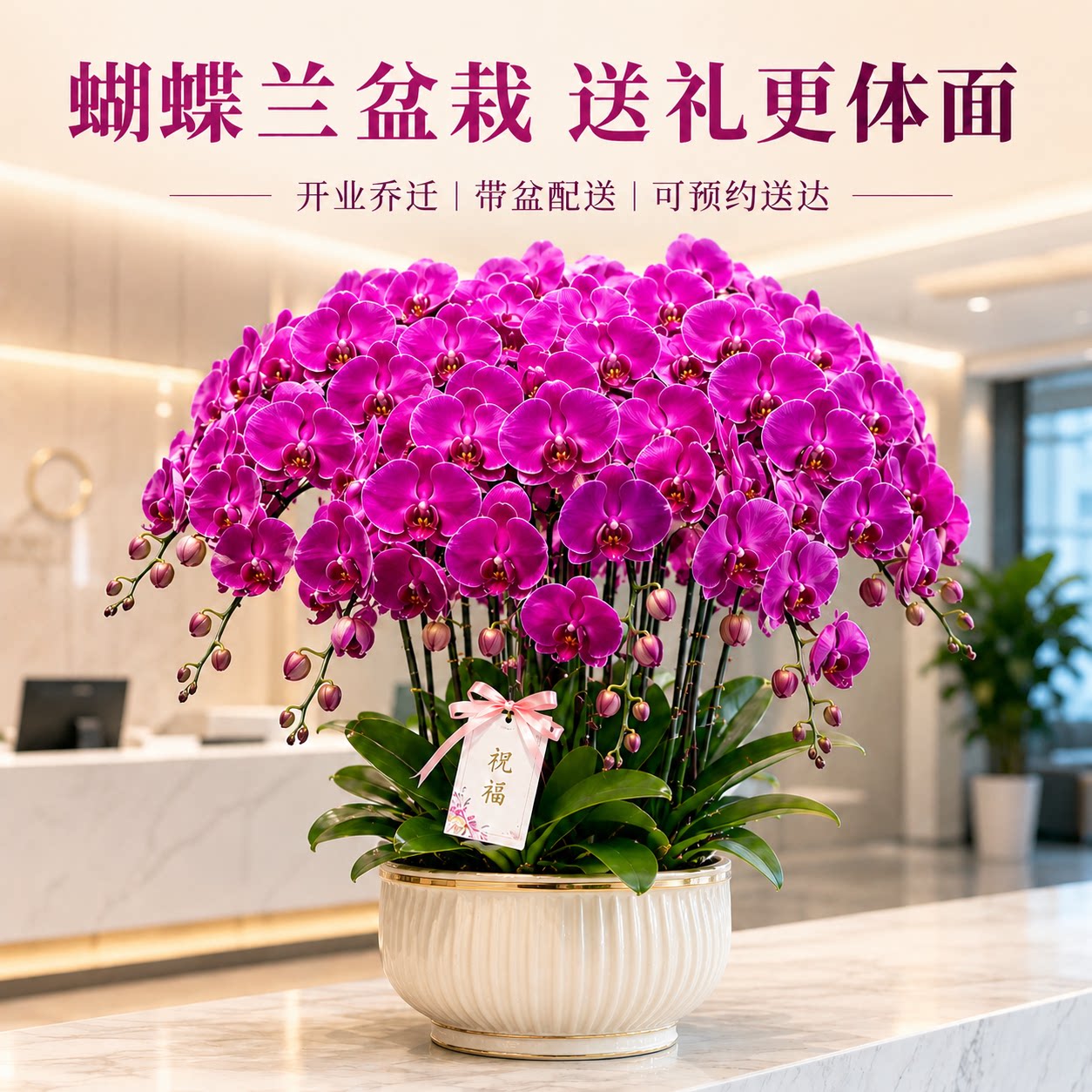 蝴蝶兰盆栽开业乔迁同城上门