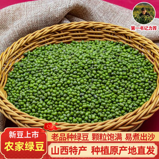 山西农家自种绿豆老品种绿豆新货发芽专用新鲜农家绿豆新货大绿豆