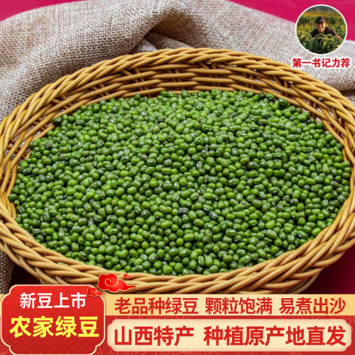 山西特产农家新绿豆发芽绿豆