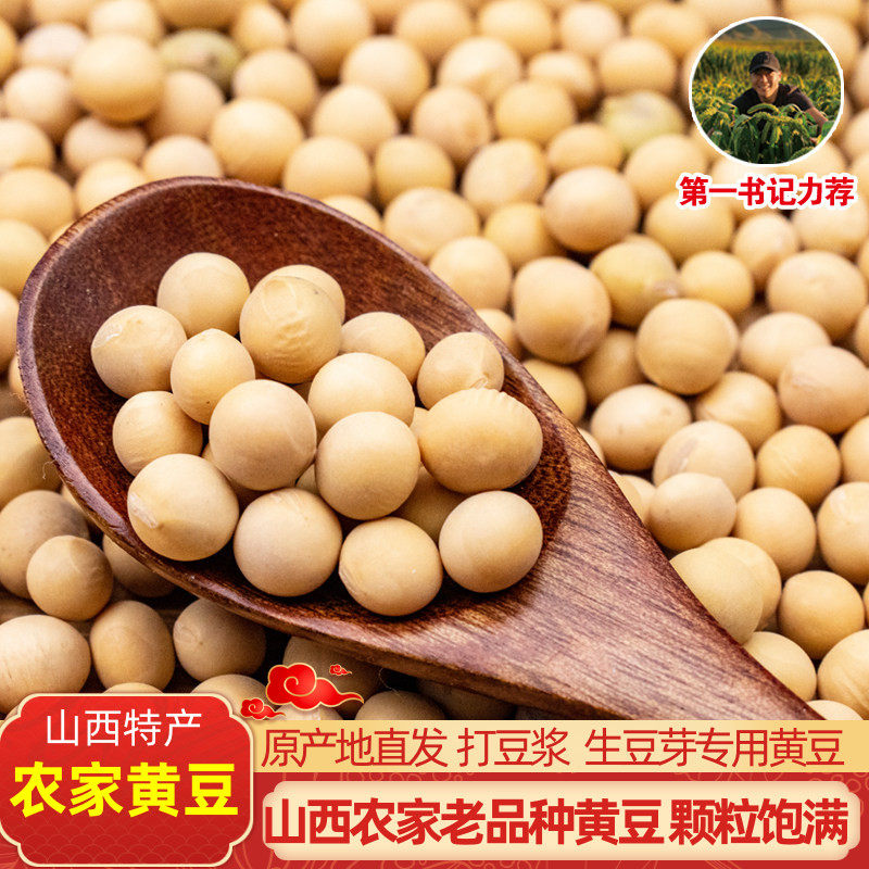 山西特产农家自种黄豆打豆浆专用大粒黄豆生黄豆芽老品种大粒黄豆