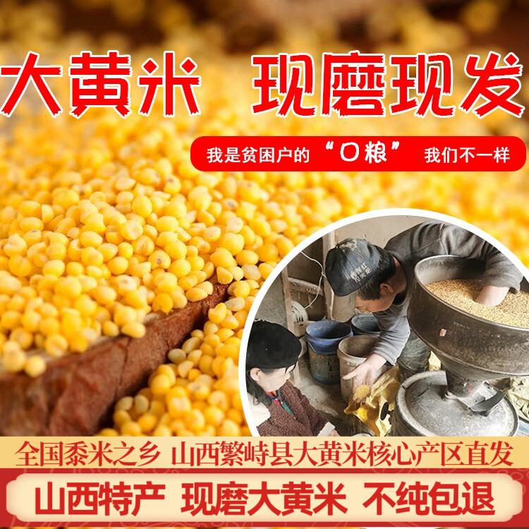 山西大黄米繁峙特产糯小米新米图片