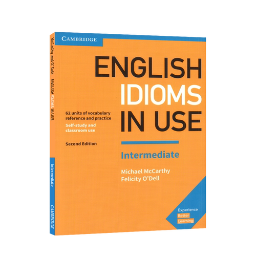 现货 English Idioms in Use Intermediate 英文原版剑桥英语成语惯用语中级第二版配答案 中阶（PET-FCE）英语词汇学习自学工具书