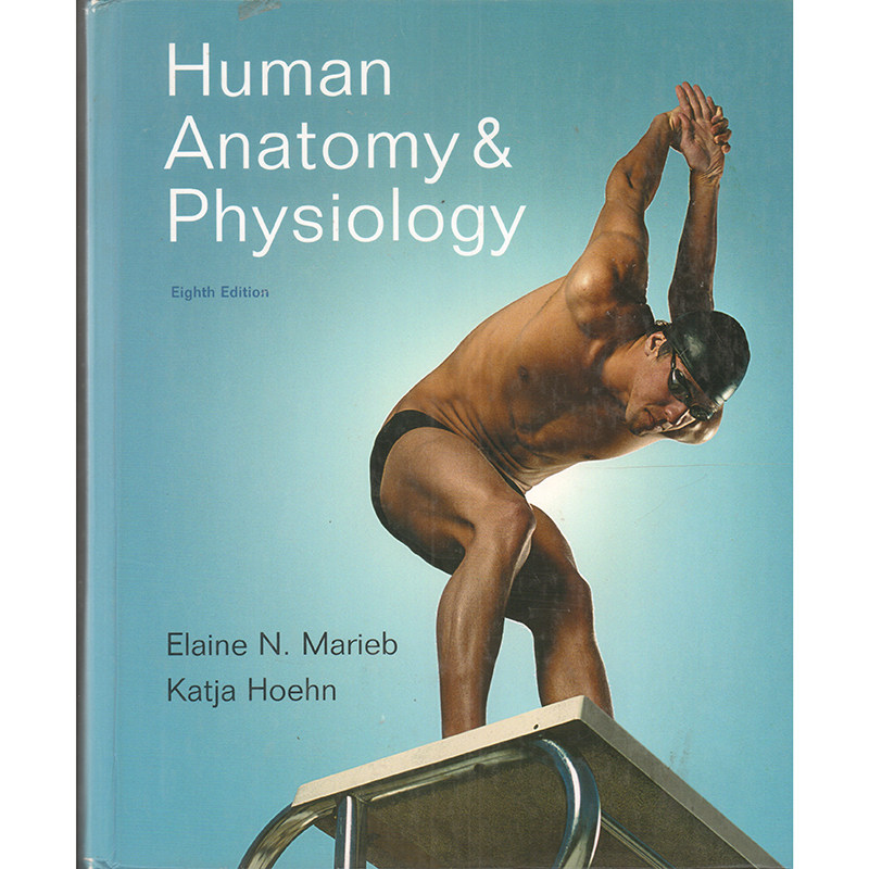 特价清仓原版现货Human Anatomy amp Physiology 8th Edition第八版人体解剖学和生理学Pearson