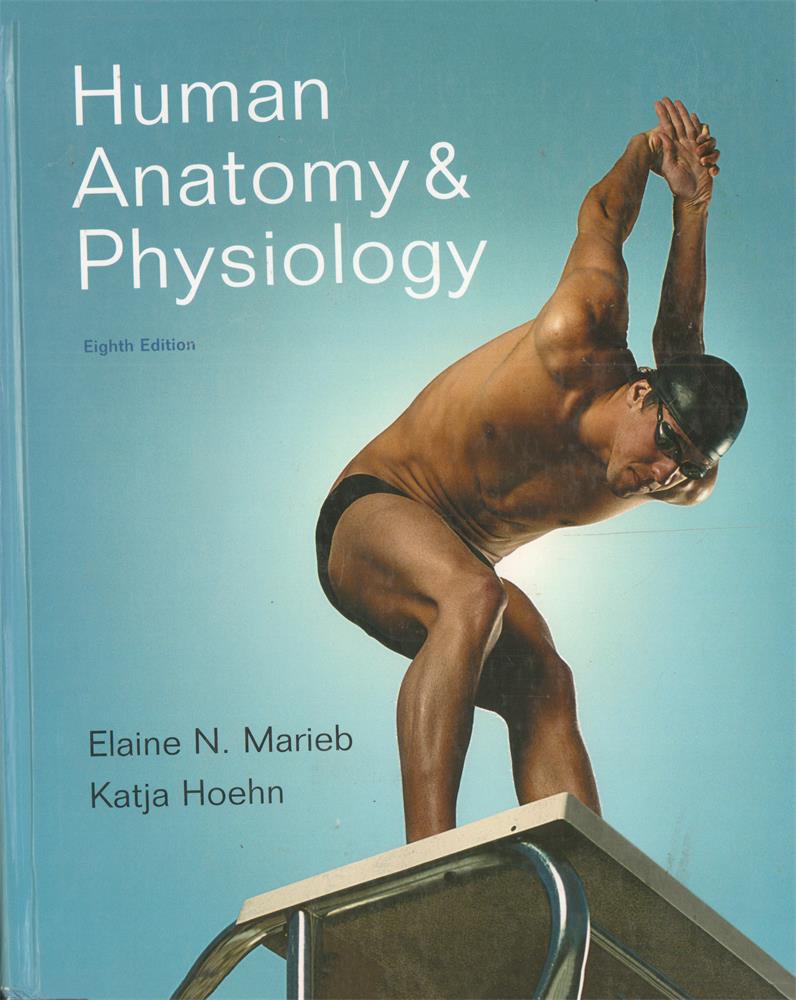 特价清仓 英文原版进口 Human Anatomy & Physiology Eighth Edition 人体解剖学与生理学 第八版