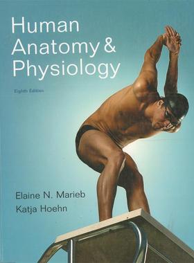 特价清仓 英文原版进口 Human Anatomy & Physiology Eighth Edition 人体解剖学与生理学 第八版